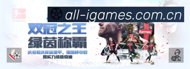 爱游戏安全运营支持